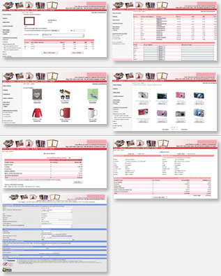 Web Enabling ERP