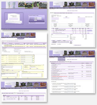 Web Enabling ERP