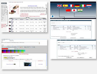 Web Enabling ERP